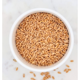 Photo of Wheat - Clean