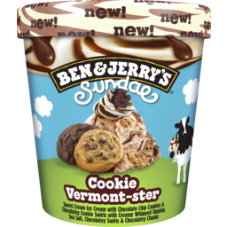 Photo of  Ben & Jerry's Ice Cream Sundae Cookie 427ml