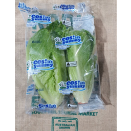 Photo of Lettuce Baby Cos 2pk
