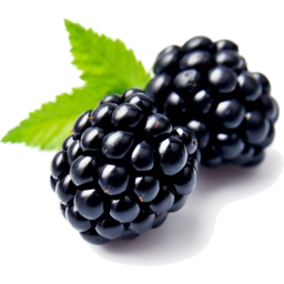 Photo of Ultra Premium Blackberries
