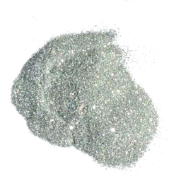 Photo of BioGlitter Silver 200 microns 