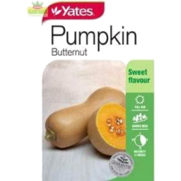 Photo of Yates Pumpkin Butternut Packet