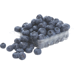 Photo of Blueberries Pnt