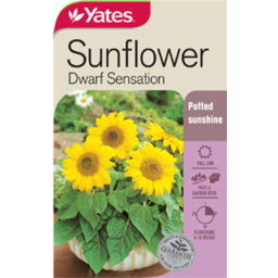 Photo of Yates Sunflower Dwarf Sensation Seed Packet