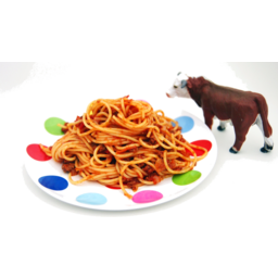 Photo of Spaghetti Bolognaise