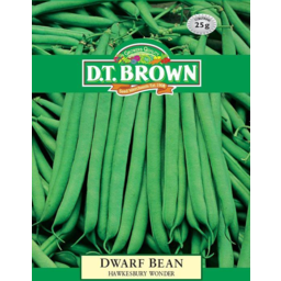 Photo of Dt Brown Dwarf Bean H'kesbury Wo