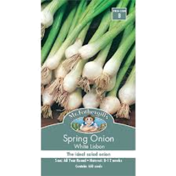 Photo of Mr Fothergills Seeds Spring Onion White Lisbon