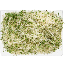 Photo of Alfalfa & Onion Sprouts 125g
