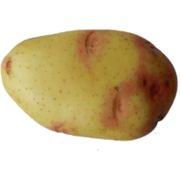 Photo of Potatoes King Edward