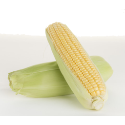 Photo of Corn Sweet Cob