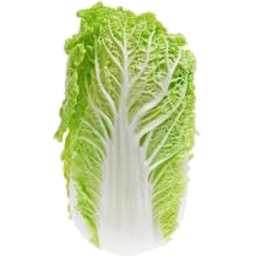 Photo of Cabbage Chinese Whole EA