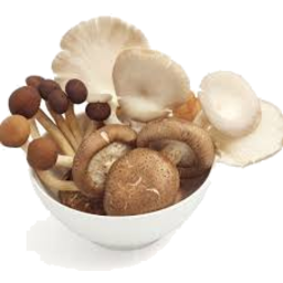 Photo of Mushroom Tray - Mixed Exotic