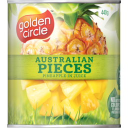 Photo of Golden Circle Australian Pineapple Pieces In Juice (440g)