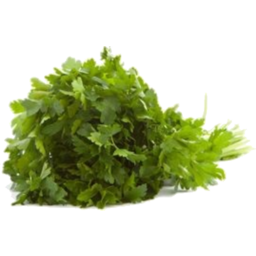 Photo of Fresh Parsley Contnl Bunch