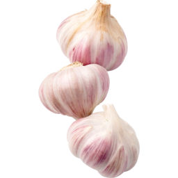 Photo of Garlic