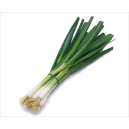 Photo of Spring Onion Organic Bunch