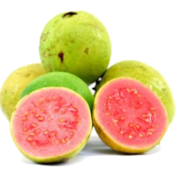 Photo of Guava
