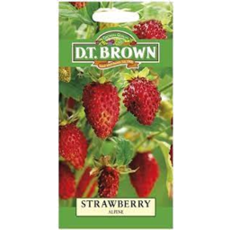 Photo of Dt Brown Seeds Strawberry Alpine