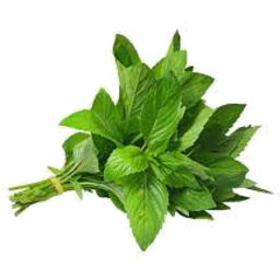 Photo of Herbs Mint Punnet Each
