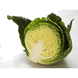 Photo of Savoy Cabbage Half each