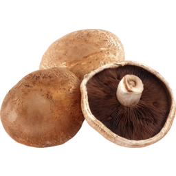 Photo of Mushroom Flat Brown Kg