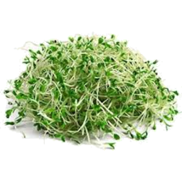 Photo of Parilla Salad Sprouts 125 Gr