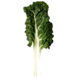Photo of Silverbeet Kg