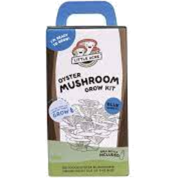 Photo of Little Acre Mushroom Kit Blue Oyster