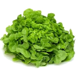 Photo of Revolution Produce Lettuce