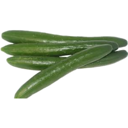 Photo of Continental Cucumber