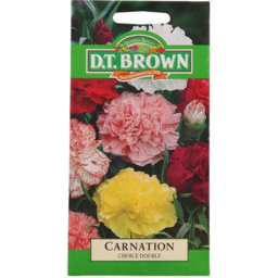 Photo of Dt Brown Seeds Carnation Mix