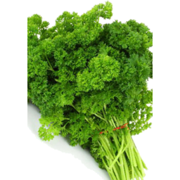 Photo of Herb P/P Curly Parsley