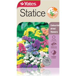 Photo of Yates Statice Flower Packet