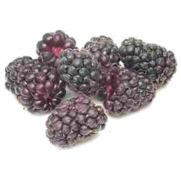Photo of Boysenberries 125g