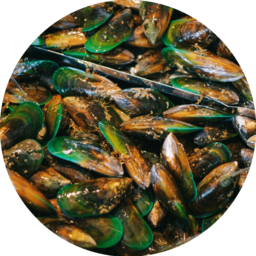 Photo of Live Green Mussels Kg