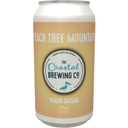 Photo of Coastal Brewing Peach Tree Mountain Peach Saison 375ml 4pk