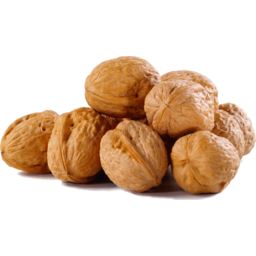 Photo of Fresh Walnuts