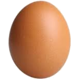 Photo of Fresh Egg Single