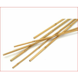 Photo of Bamboo Stakes Pk 10 1500mm