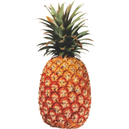 Photo of Pineapple Large