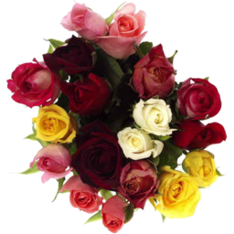 Photo of Flowers Rose Bouquet