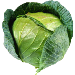 Photo of Cabbage Green Whole