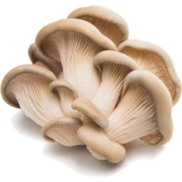 Photo of Mushrooms Shiitake Punnet