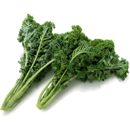 Photo of Kale - Green Curly