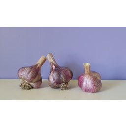 Photo of CHEMICAL FREE Purple Garlic Tasmanian Kg