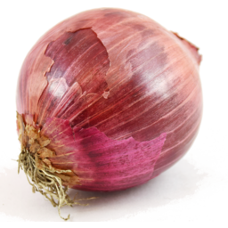 Photo of Onions Red Organic