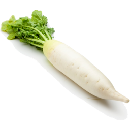 Photo of Radish Daikon Kg