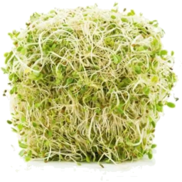 Photo of Sprouts Alfalfa Grn Punnet Ea