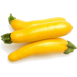Photo of Zucchini Yellow Organic