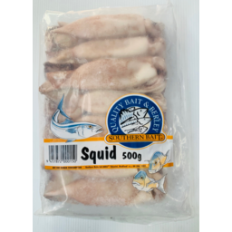 Photo of Southern Bait Squid